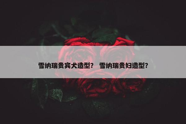 雪纳瑞贵宾犬造型？ 雪纳瑞贵妇造型？