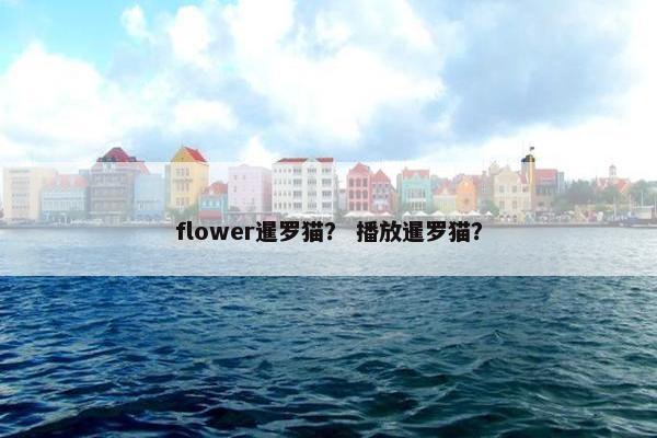 flower暹罗猫？ 播放暹罗猫？