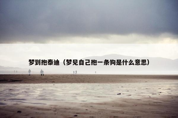 梦到抱泰迪（梦见自己抱一条狗是什么意思）