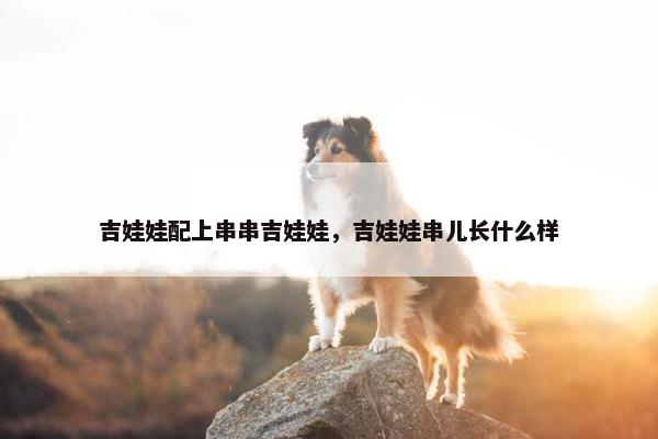 吉娃娃配上串串吉娃娃，吉娃娃串儿长什么样