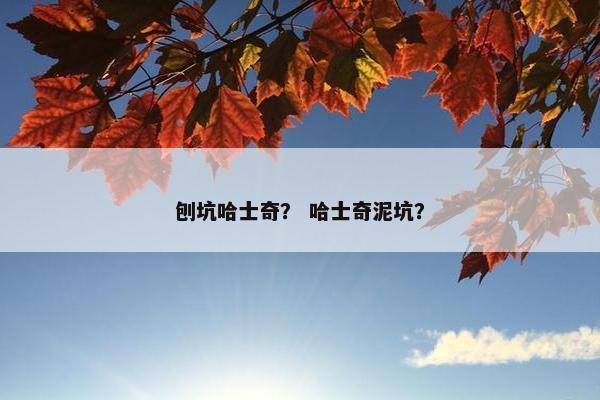 刨坑哈士奇？ 哈士奇泥坑？