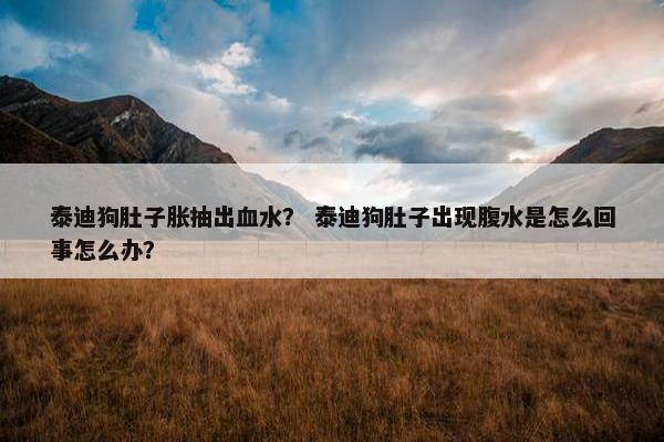 泰迪狗肚子胀抽出血水？ 泰迪狗肚子出现腹水是怎么回事怎么办？