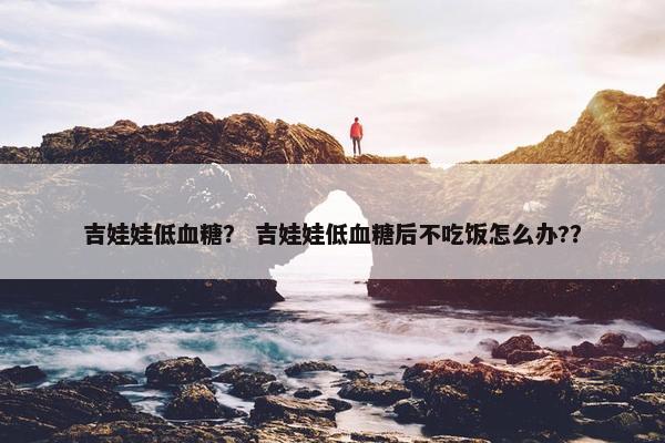 吉娃娃低血糖？ 吉娃娃低血糖后不吃饭怎么办?？