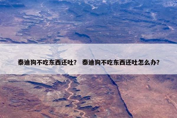 泰迪狗不吃东西还吐？ 泰迪狗不吃东西还吐怎么办？