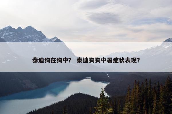 泰迪狗在狗中？ 泰迪狗狗中暑症状表现？