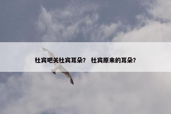 杜宾吧关杜宾耳朵？ 杜宾原来的耳朵？