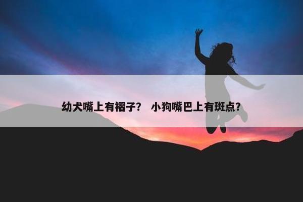 幼犬嘴上有褶子？ 小狗嘴巴上有斑点？