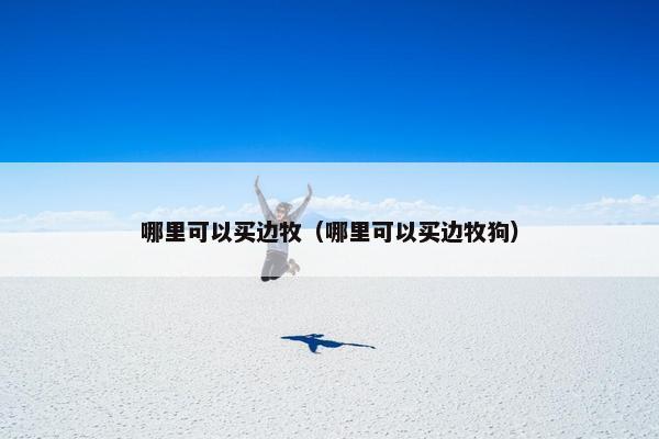 哪里可以买边牧（哪里可以买边牧狗）