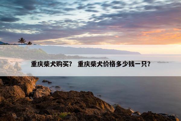 重庆柴犬购买？ 重庆柴犬价格多少钱一只？