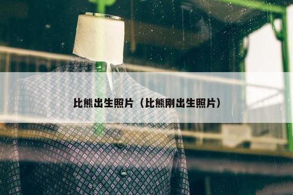 比熊出生照片（比熊刚出生照片）