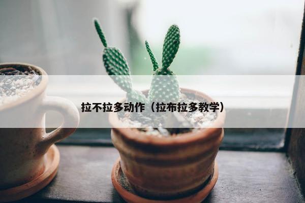 拉不拉多动作（拉布拉多教学）