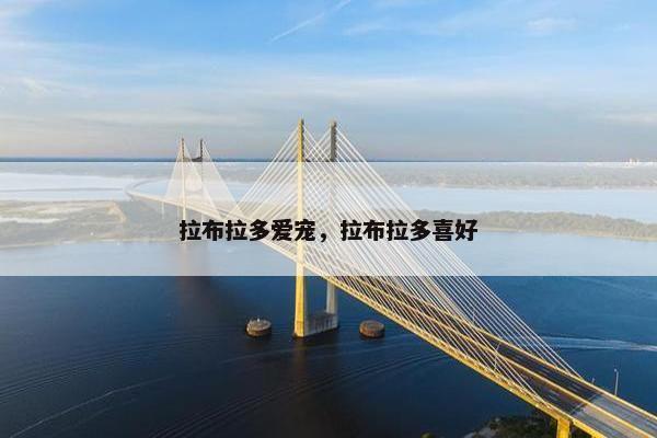 拉布拉多爱宠，拉布拉多喜好