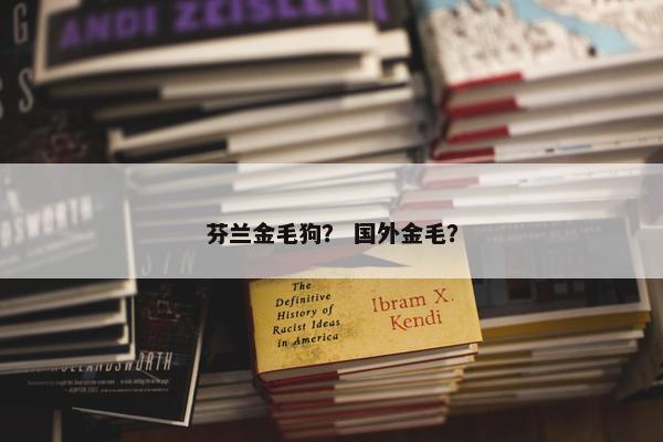 芬兰金毛狗？ 国外金毛？