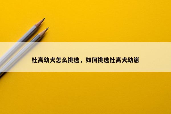 杜高幼犬怎么挑选，如何挑选杜高犬幼崽
