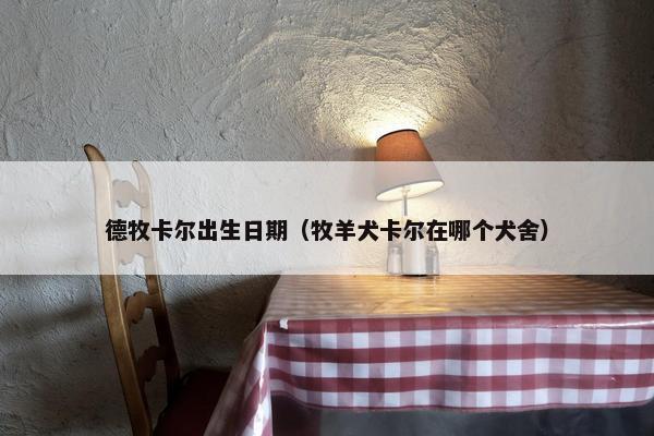 德牧卡尔出生日期（牧羊犬卡尔在哪个犬舍）