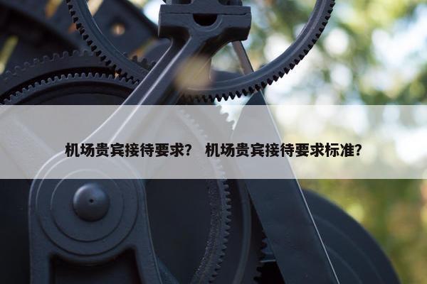 机场贵宾接待要求？ 机场贵宾接待要求标准？