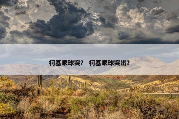 柯基眼球突？ 柯基眼球突出？
