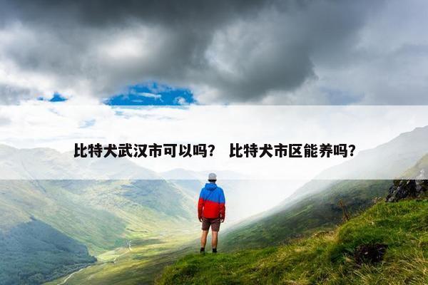 比特犬武汉市可以吗？ 比特犬市区能养吗？
