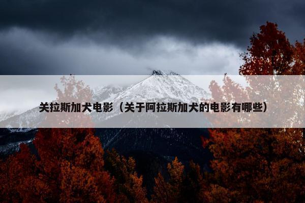 关拉斯加犬电影（关于阿拉斯加犬的电影有哪些）