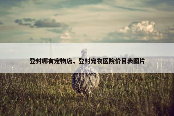 登封哪有宠物店，登封宠物医院价目表图片