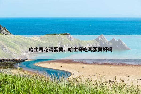 哈士奇吃鸡蛋黄，哈士奇吃鸡蛋黄好吗