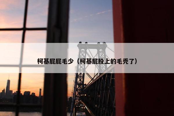柯基屁屁毛少（柯基屁股上的毛秃了）