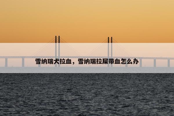 雪纳瑞犬拉血，雪纳瑞拉屎带血怎么办