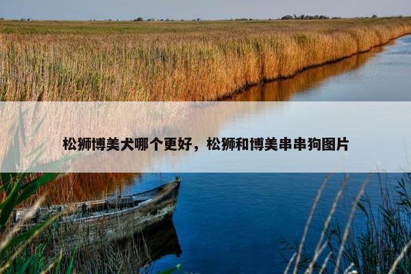 松狮博美犬哪个更好，松狮和博美串串狗图片