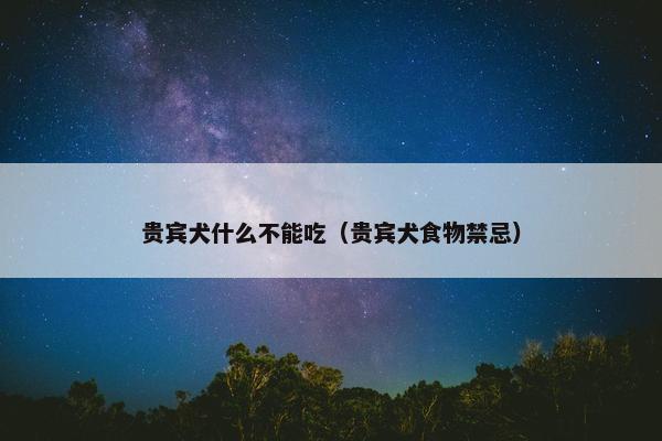 贵宾犬什么不能吃（贵宾犬食物禁忌）