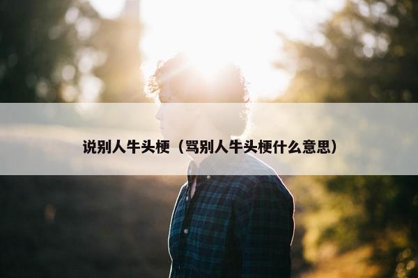 说别人牛头梗（骂别人牛头梗什么意思）