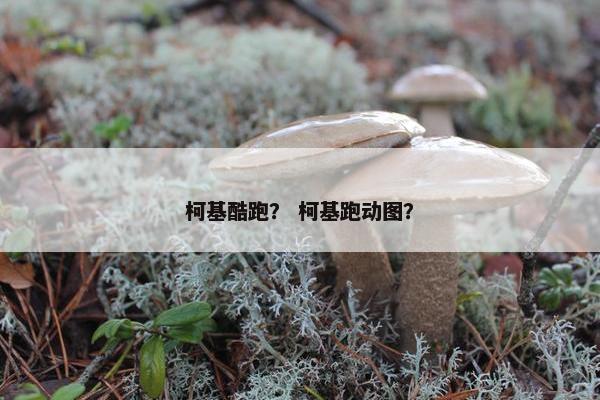 柯基酷跑？ 柯基跑动图？