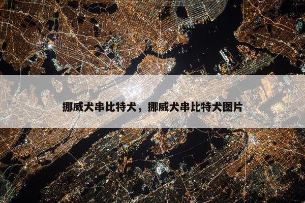 挪威犬串比特犬，挪威犬串比特犬图片