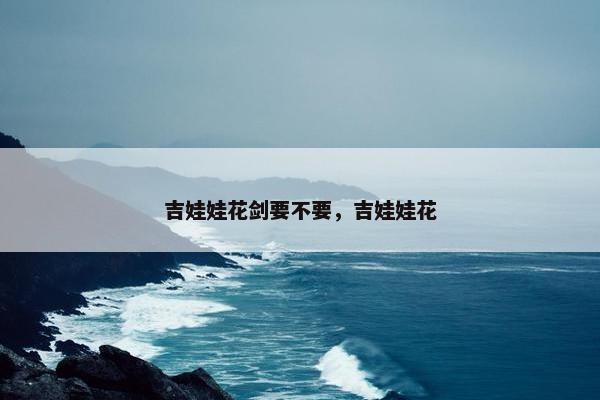 吉娃娃花剑要不要，吉娃娃花