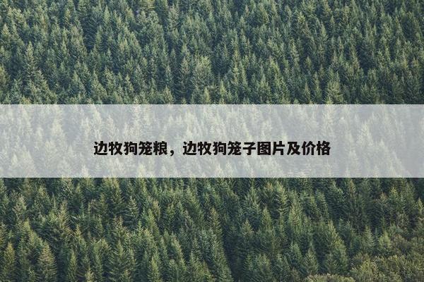 边牧狗笼粮，边牧狗笼子图片及价格