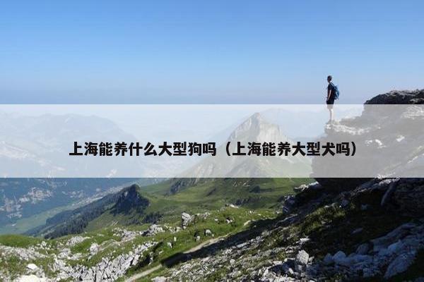 上海能养什么大型狗吗（上海能养大型犬吗）