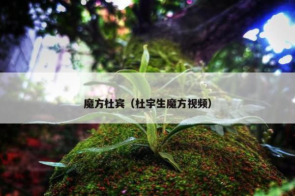 魔方杜宾（杜宇生魔方视频）