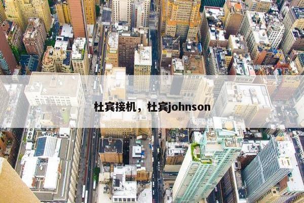 杜宾接机，杜宾johnson