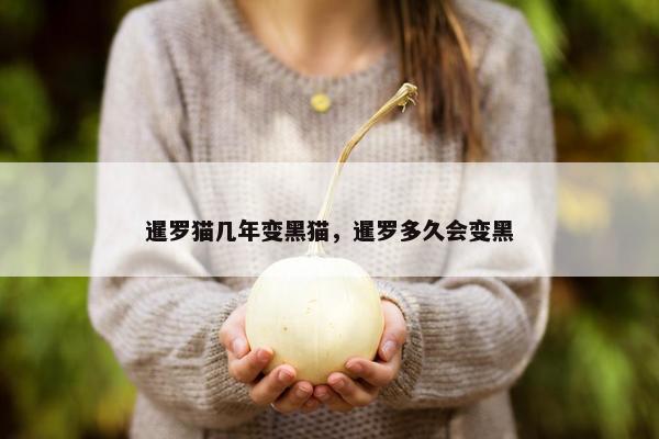 暹罗猫几年变黑猫，暹罗多久会变黑