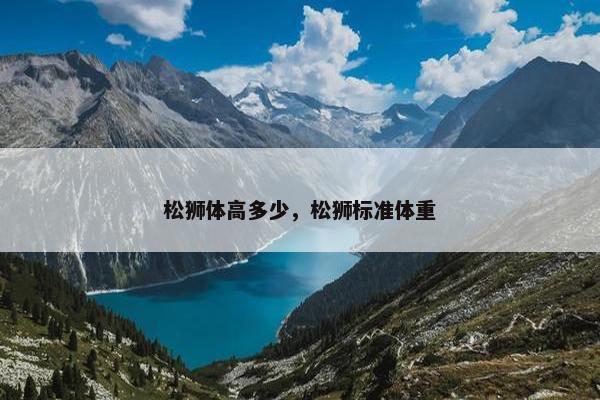 松狮体高多少，松狮标准体重