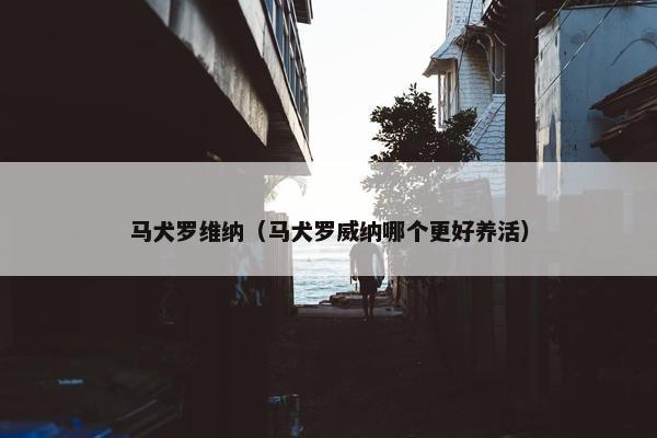 马犬罗维纳（马犬罗威纳哪个更好养活）