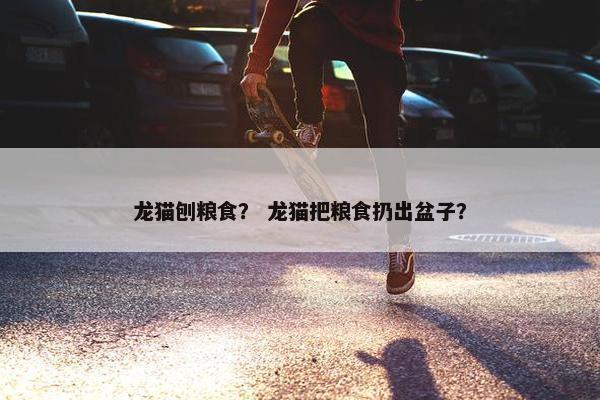 龙猫刨粮食？ 龙猫把粮食扔出盆子？