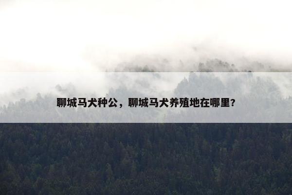 聊城马犬种公，聊城马犬养殖地在哪里?