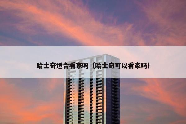哈士奇适合看家吗（哈士奇可以看家吗）