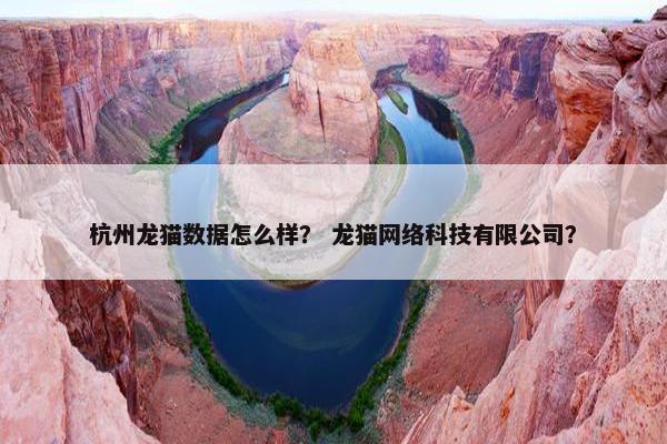 杭州龙猫数据怎么样？ 龙猫网络科技有限公司？