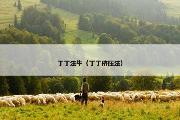 丁丁法牛（丁丁挤压法）