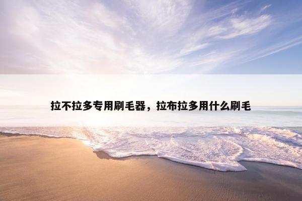 拉不拉多专用刷毛器，拉布拉多用什么刷毛