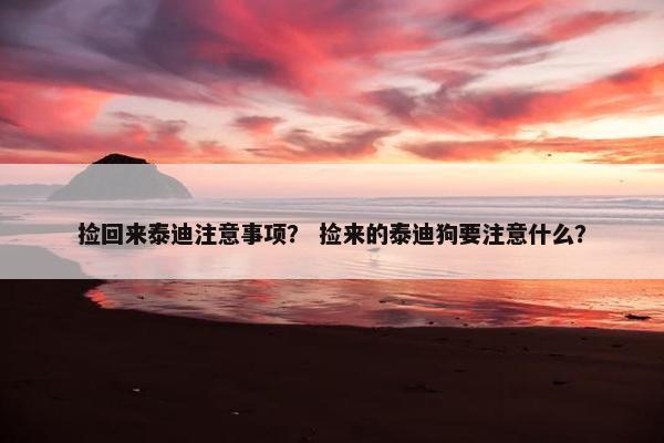 捡回来泰迪注意事项？ 捡来的泰迪狗要注意什么？