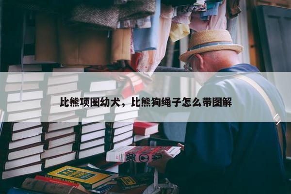 比熊项圈幼犬，比熊狗绳子怎么带图解