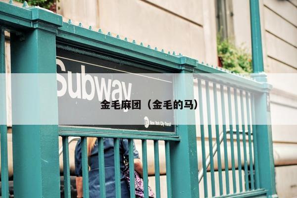 金毛麻团（金毛的马）