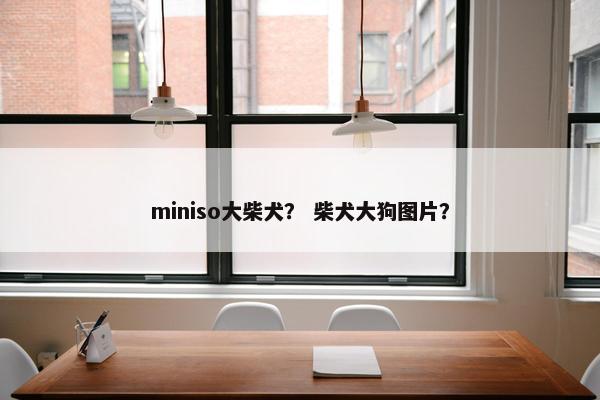 miniso大柴犬？ 柴犬大狗图片？